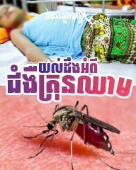 យល់ដឹងអំពីជំងឺគ្រុនឈាម អ្នកមានកូនតូចៗ គួរតែដឹង #Knongsrok #KnongsrokTV #knongsrokkomsan