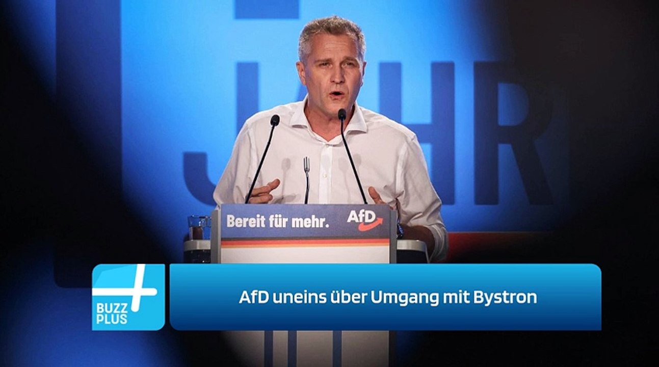 AfD uneins über Umgang mit Bystron