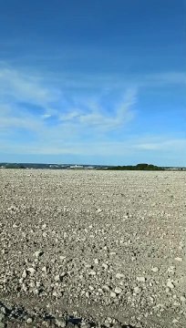 Así se plantan los grandes viñedos de Ribera del Duero