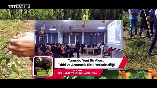 Tarımda yeni akım: Tıbbi ve aromatik bitki yetiştiriciliği