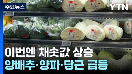 '물가 대책' 사과 값 내리니 뛰는 양배추·양파·당근 / YTN