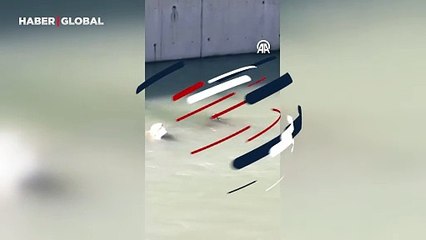 Karabük'te ortaya çıktılar! Birbirleriyle eğlenen su samurları kamerada