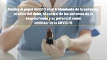 El Cannabis Tiene Propiedades Medicinales, Aplicaciones Y Beneficios Para La Salud