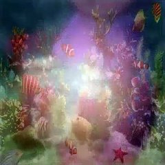 Dora The Explorer S07E11 Baby Bongos Big Music Show