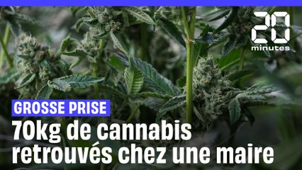 Yonne : Au moins 70 kg de cannabis découverts chez la maire d’Avallon