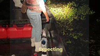 Not Your Average Catch | Frog Night Turns into Gator Surprise