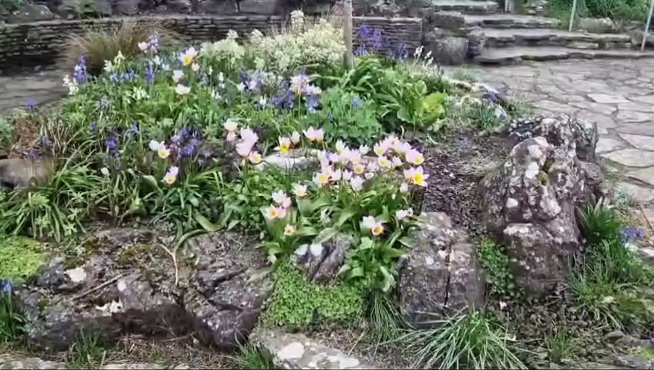 I visited Southsea's secret gardens and found a Portsmouth hidden gem