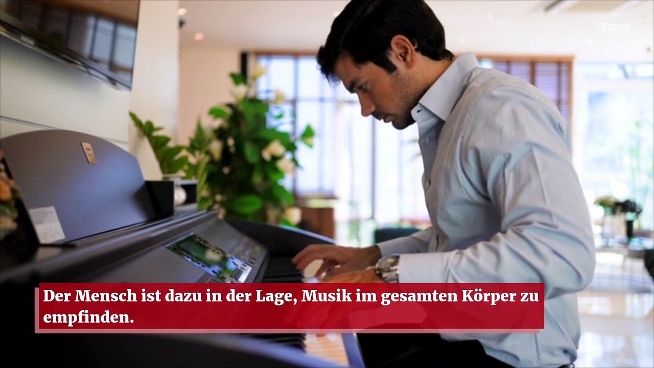 Musik ist im gesamten menschlichen Körper spürbar