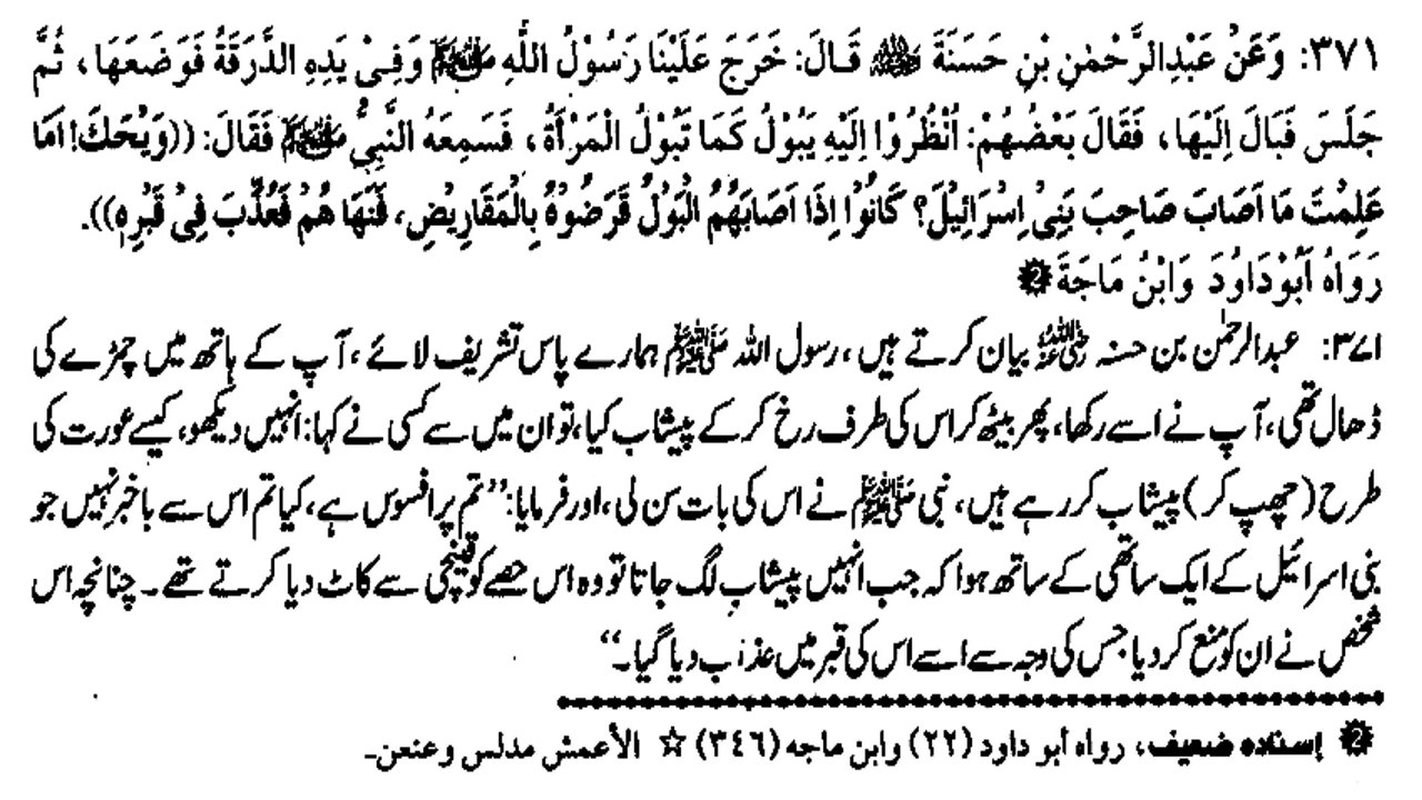 WALY HISY KO KAAT DENA (371)