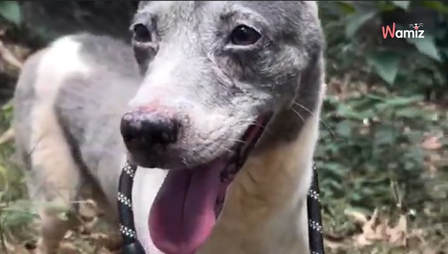 Przez 14 lat był trzymany w ciemności. Jego reakcja, gdy pierwszy raz czuje słońce wzrusza do łez (video)
