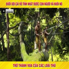 Review Phim - Đười Ươi Cái Vô Tình Nhặt Được Con Người Và Nuôi Nó Trở Thành Vua Của Các Loài Thú.