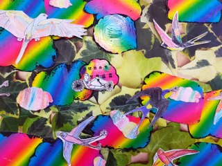 Le vélo oiseau de Mathieu Bosredon