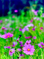 Here’s something to ponder #eraxpar