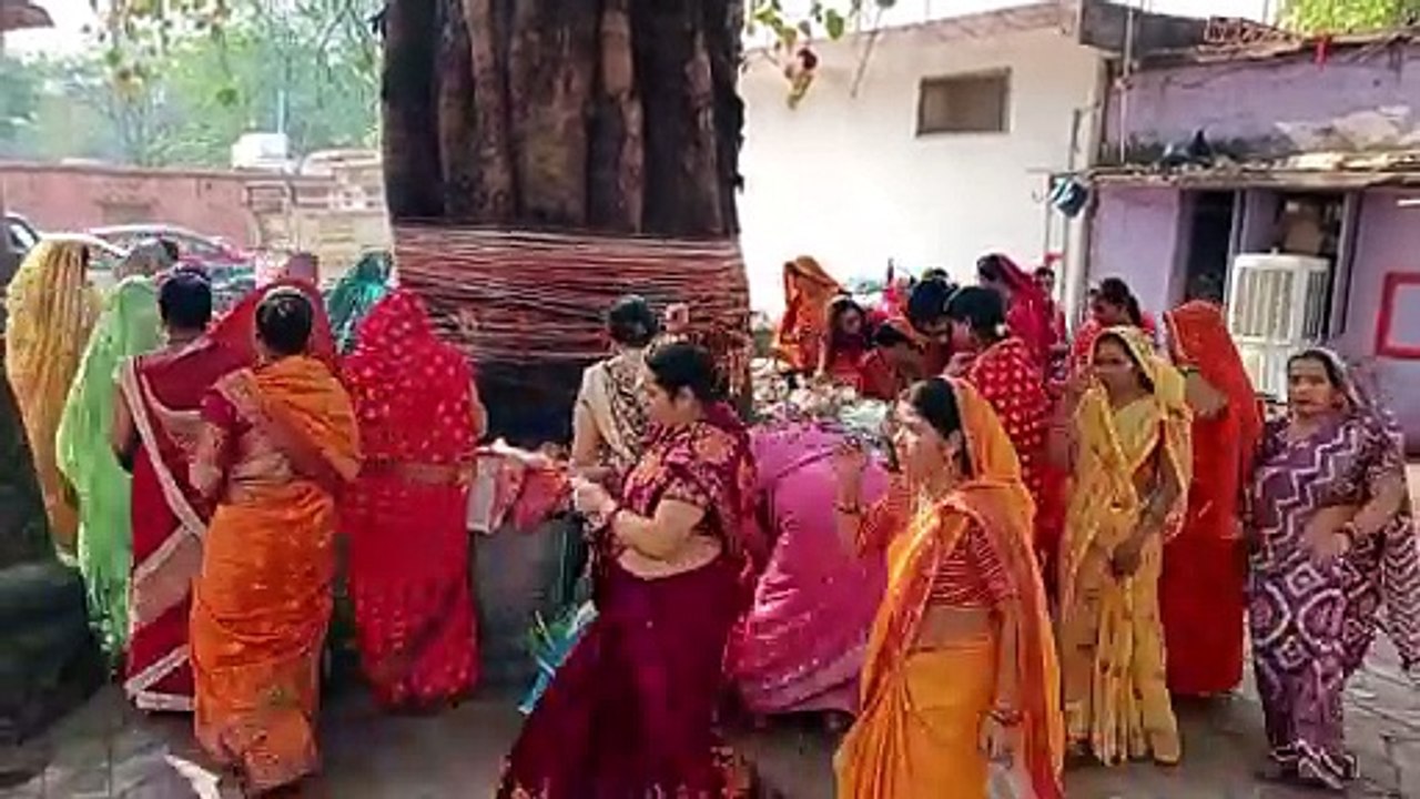 महिलाओं ने पीपील के फेरे लगाकर की सुख समृद्धि क...