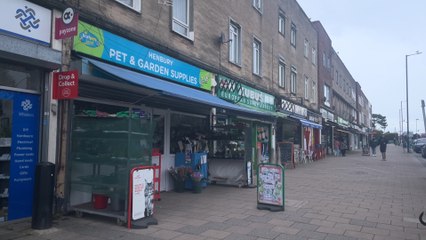 What is the state of the bristol high street?