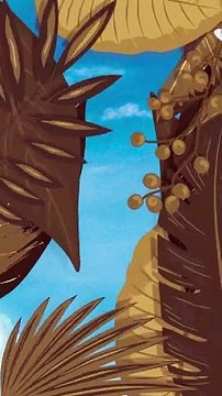 La météo du mardi 9 avril 2024, pour les villes de : Lille, calais, amiens, cherbourg-Octeville, Rouen, Reims, Metz, Paris, Strasbourg, Brest, Rennes, Le mans, Auxerre, Chaumont, Belfort, Nantes, Tours, Bourges, Chalon-sur-Saône, La Rochelle, Limoges, V