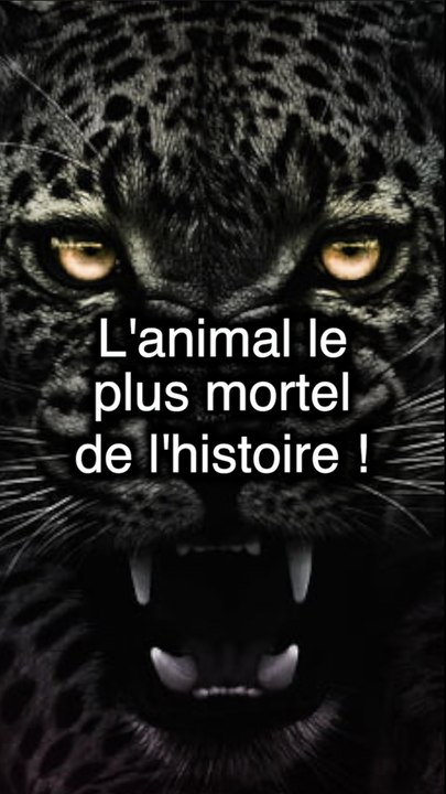 L’animal le plus mortel de l’histoire !