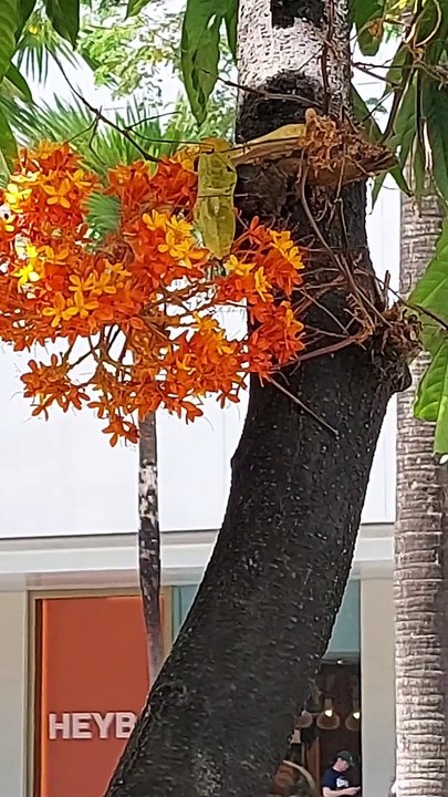 Super ganda sa BGC