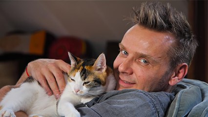 La vie secrète des chats