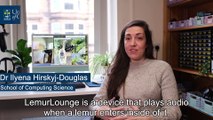 Lemur Lounge: Researchers from the University of Glasgow and keepers at Blair Drummond Safari Park use interactive technology for lemurs in captivity