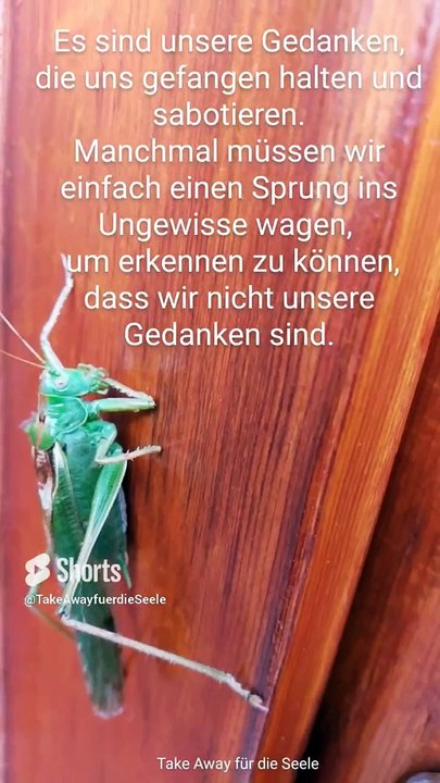 Wir sind nicht unsere Gedanken : )