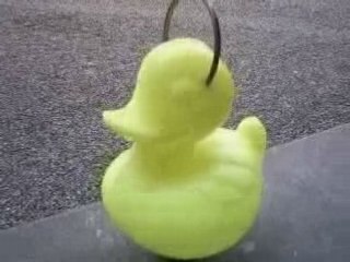 Coincoin