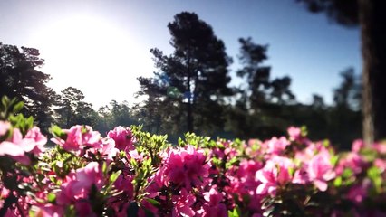 The Wait is Over _ It's Monday at the Masters