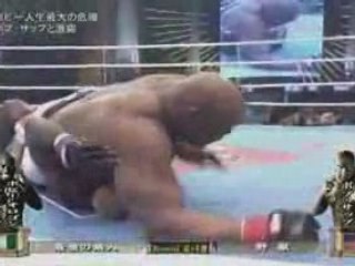 K1 fighters 2  Bob Sapp