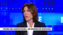 Valérie Hayer : «Je ne veux pas opposer agriculture et environnement»