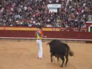 Julian Gomez: Toros Highlights 🐂