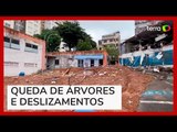Chuvas causam deslizamentos de terra em Salvador; Defesa Civil emite alerta máximo