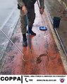 Serpente é resgatada em avenida movimentada de Salvador