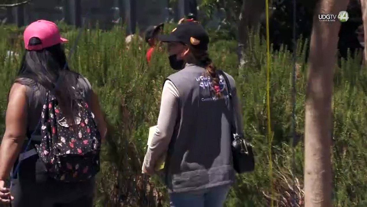 *Aprueban proyectos de 32 municipios en acciones contra la violencia de mujere