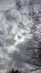 Spectacular Solar Eclipse on April 8, 2024 – Watch the USA Live 🌞