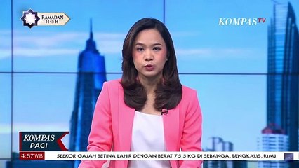 Télécharger la video: Polri Upayakan Identifikasi 10 Jenazah Korban Kecelakaan Maut di Tol Japek Km 58