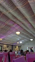 Beautiful view #viral #trending #foryou #reels #beautiful #love #funny #delicious #fun #love #yummy