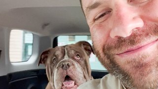 Guy Rescues The Oldest Dogs Out Of The Shelter