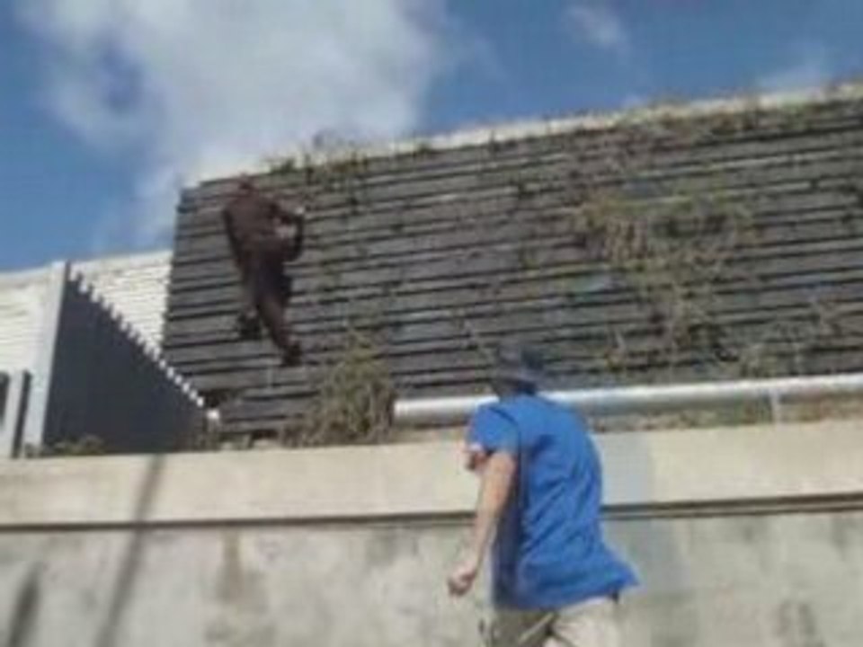 Glasgow Parkour Coaching Scotland Wide Workshop 05-April-08