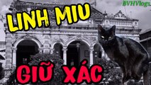 Linh miu trấn xác. Oan hồn không siêu thoát