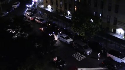 Blue hair road shitter contaminates the under s