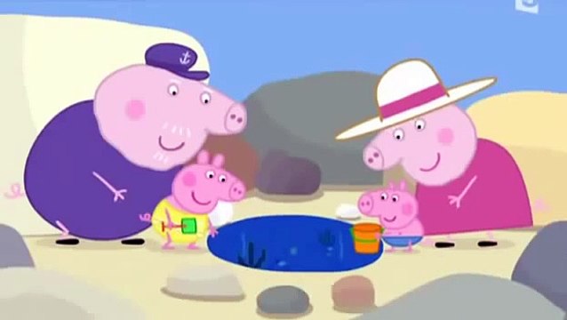 Peppa Pig français Les flaques d eau de mer Dessins animés en francais pour les enfants