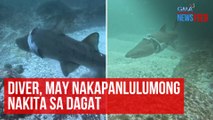 Diver, may nakapanlulumong nakita sa dagat | GMA Integrated Newsfeed