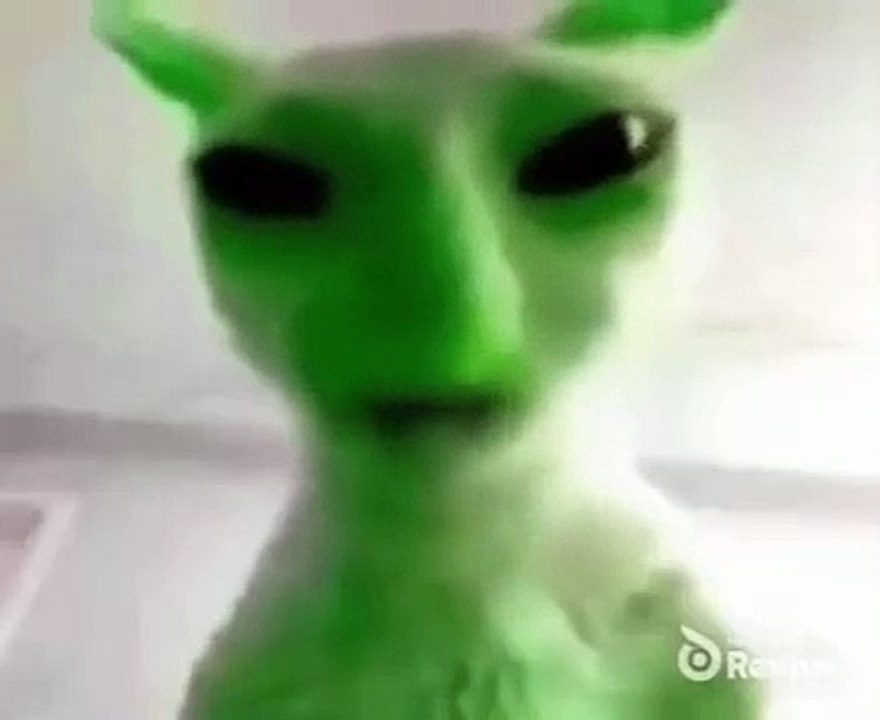 ALIEN CAT