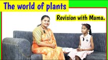 parts of a plants | growth of plants | seed to plant growth | parts of plants in english | #plants