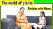 parts of a plants | growth of plants | seed to plant growth | parts of plants in english | #plants