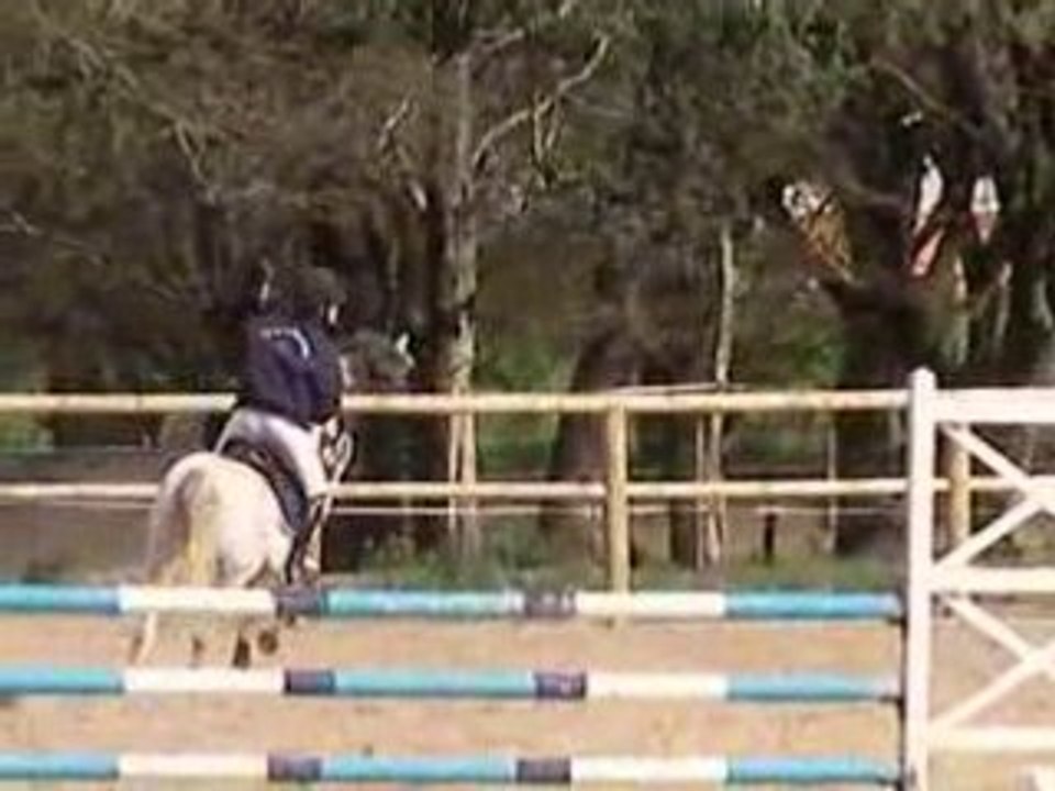 grimlin du lety C2P