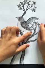 Wow, What A Pencil Drawing #shorts #shortvideo #youtubeshorts #video #virals #innovationhub