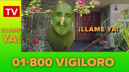 Hombre descubre la infidelidad de su esposa gracias a sus loros