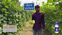 Resolving Cucumber Crop Yellowing: Success with Shriram Protobuz