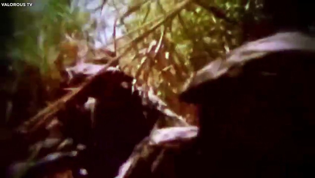 The Most Terrifying Legend of the Vietnam War